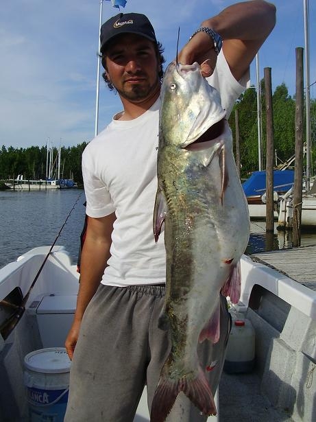 Reel Rotativo Mercadolibre Com Ar